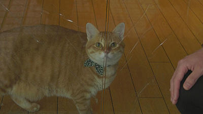 2020年12月２日放送_イメージ９