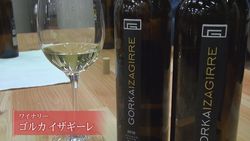 ゴルカイザギーレ２jpg.jpgのサムネイル画像