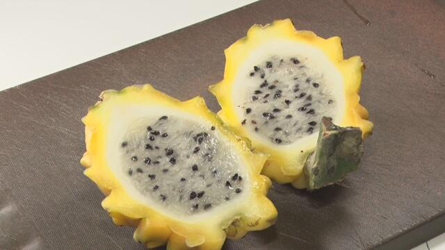 カネギフルーツ_画像2