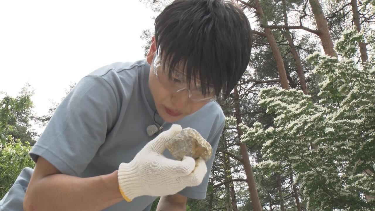 フォッサマグナミュージアム_画像2