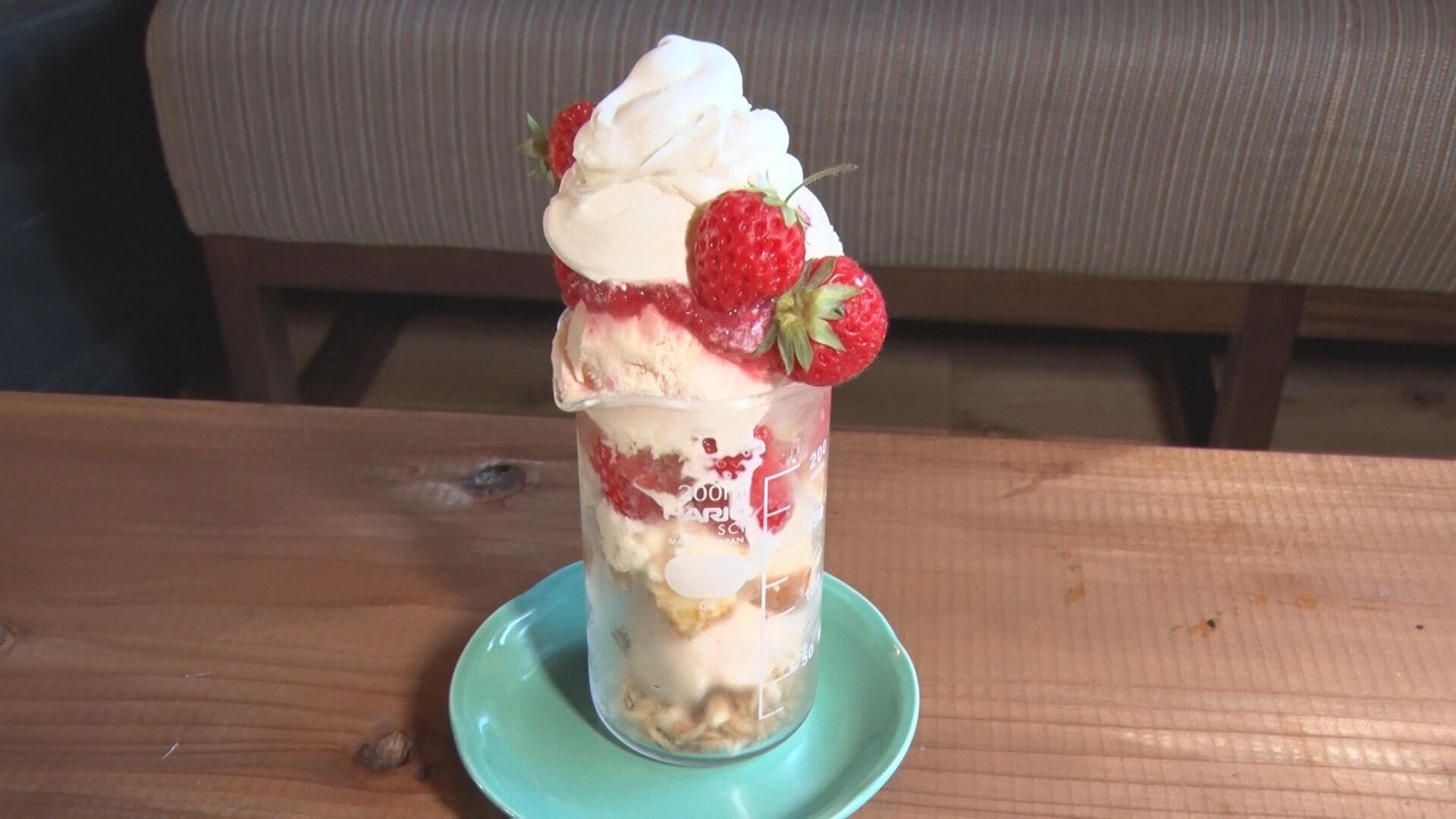 のらねこ_画像2