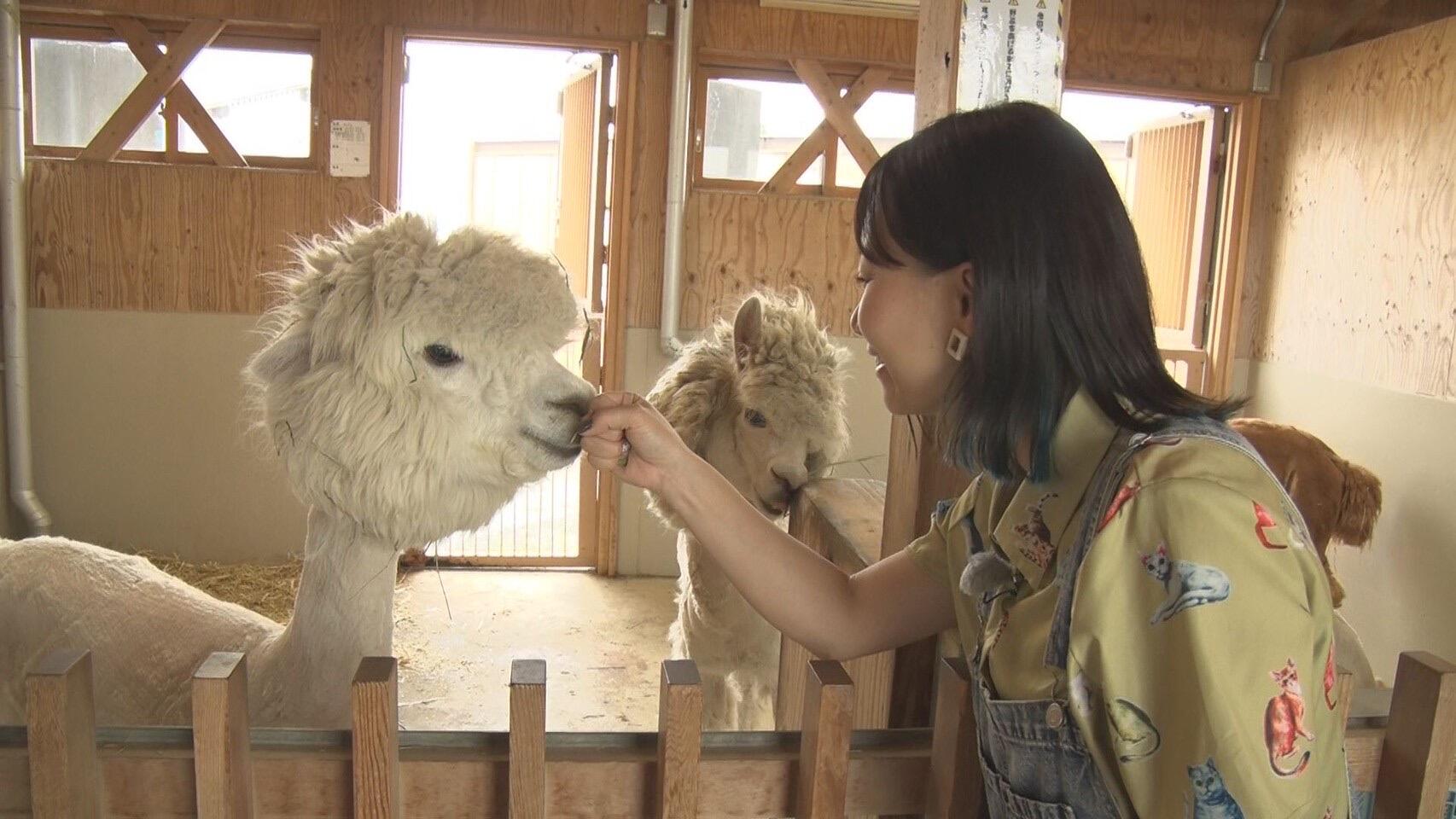 動物ふれあいセンター(いくとぴあ食花)_画像1