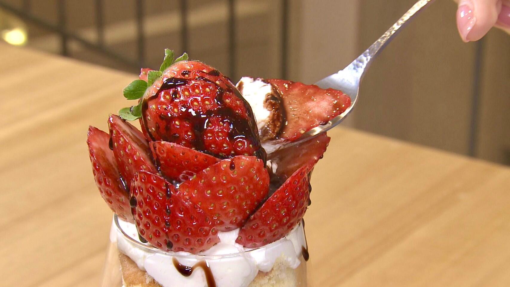 FRUITS FOREST＿画像１