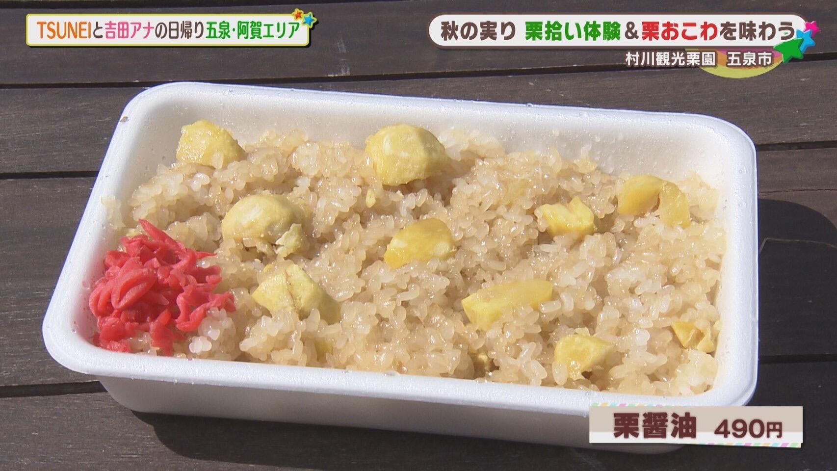 村川観光栗園＿画像２