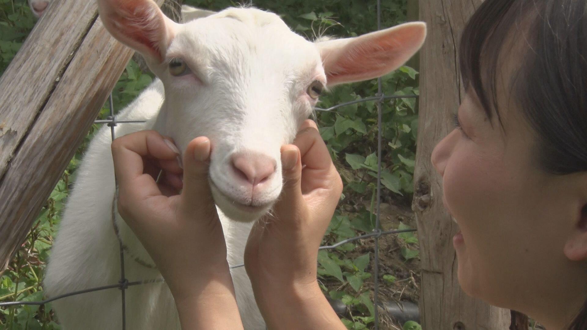 傍楽農塾 ごーとふぁーむ＿画像１