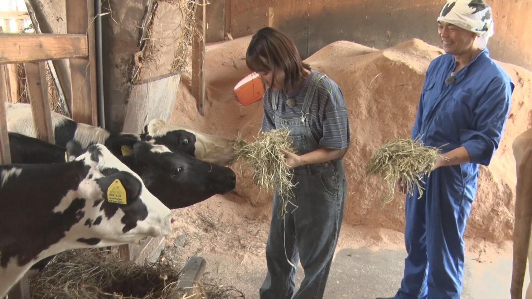 神田酪農＿画像１