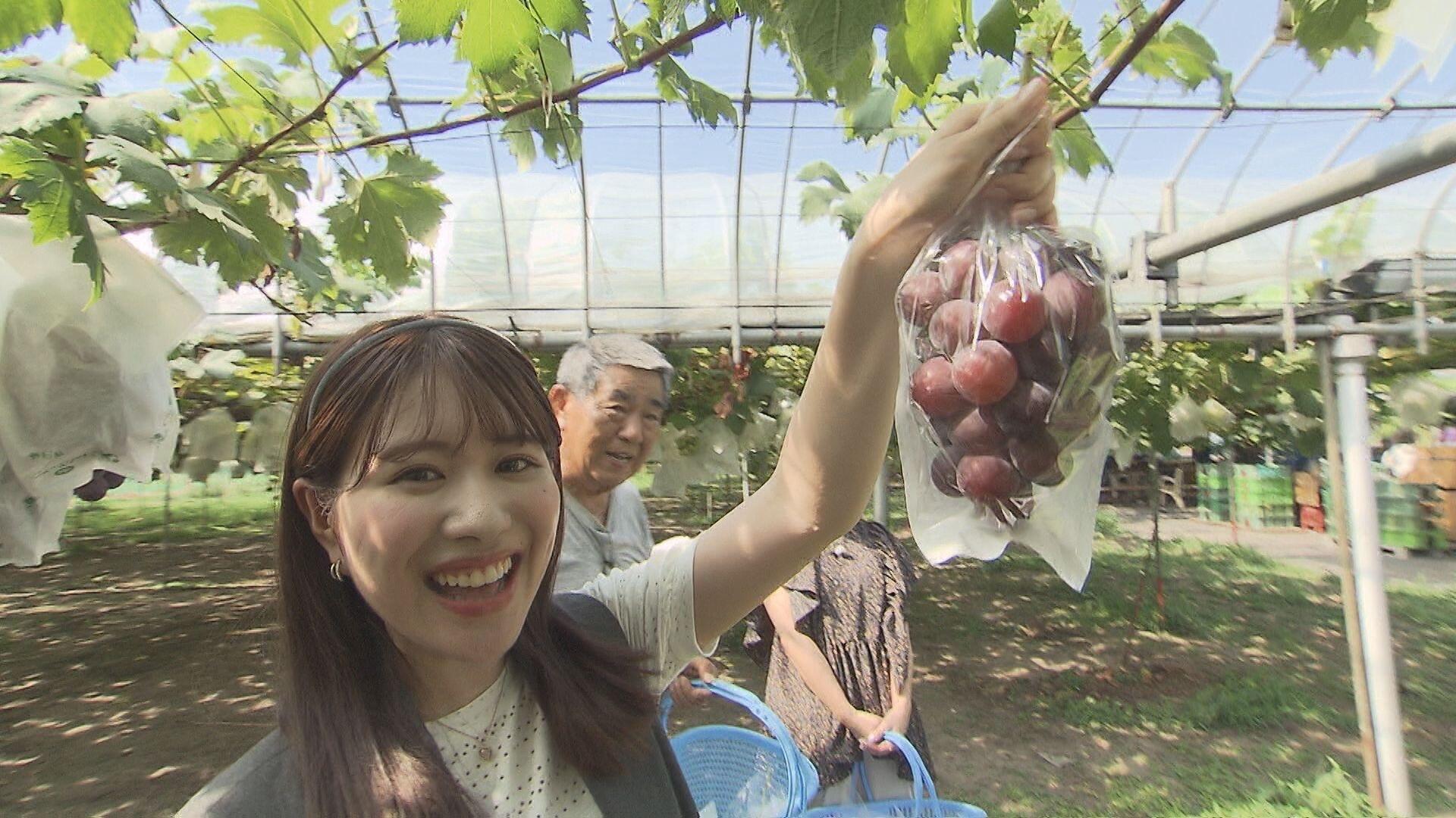 Ken'z グレープガーデン＿画像２