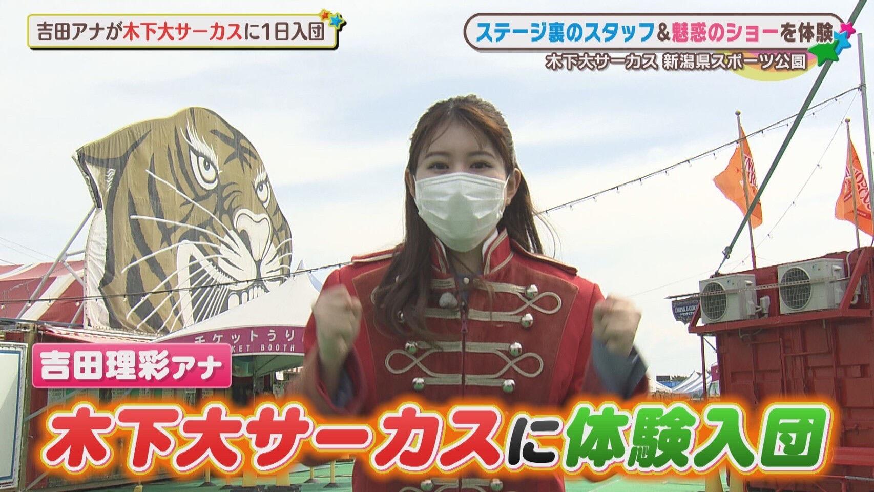 木下大サーカス_画像1