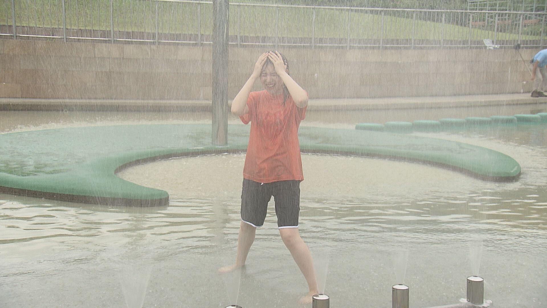 国営越後丘陵公園_画像2