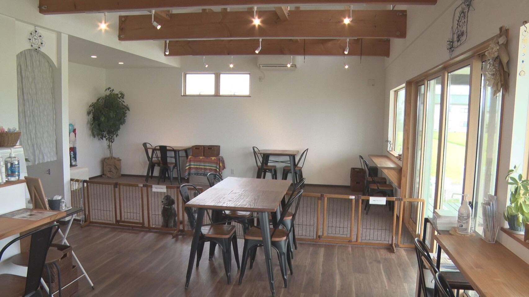 SanSan dogspace&cafe＿画像１