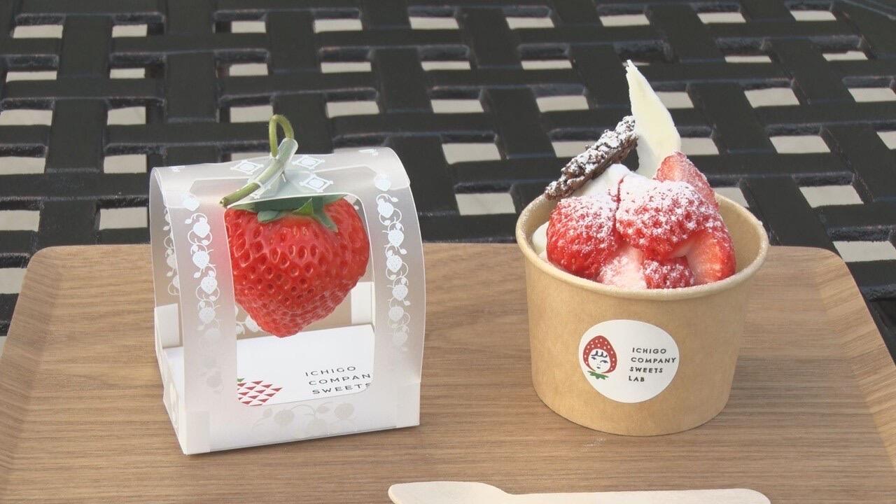 いちごカンパニー_画像1