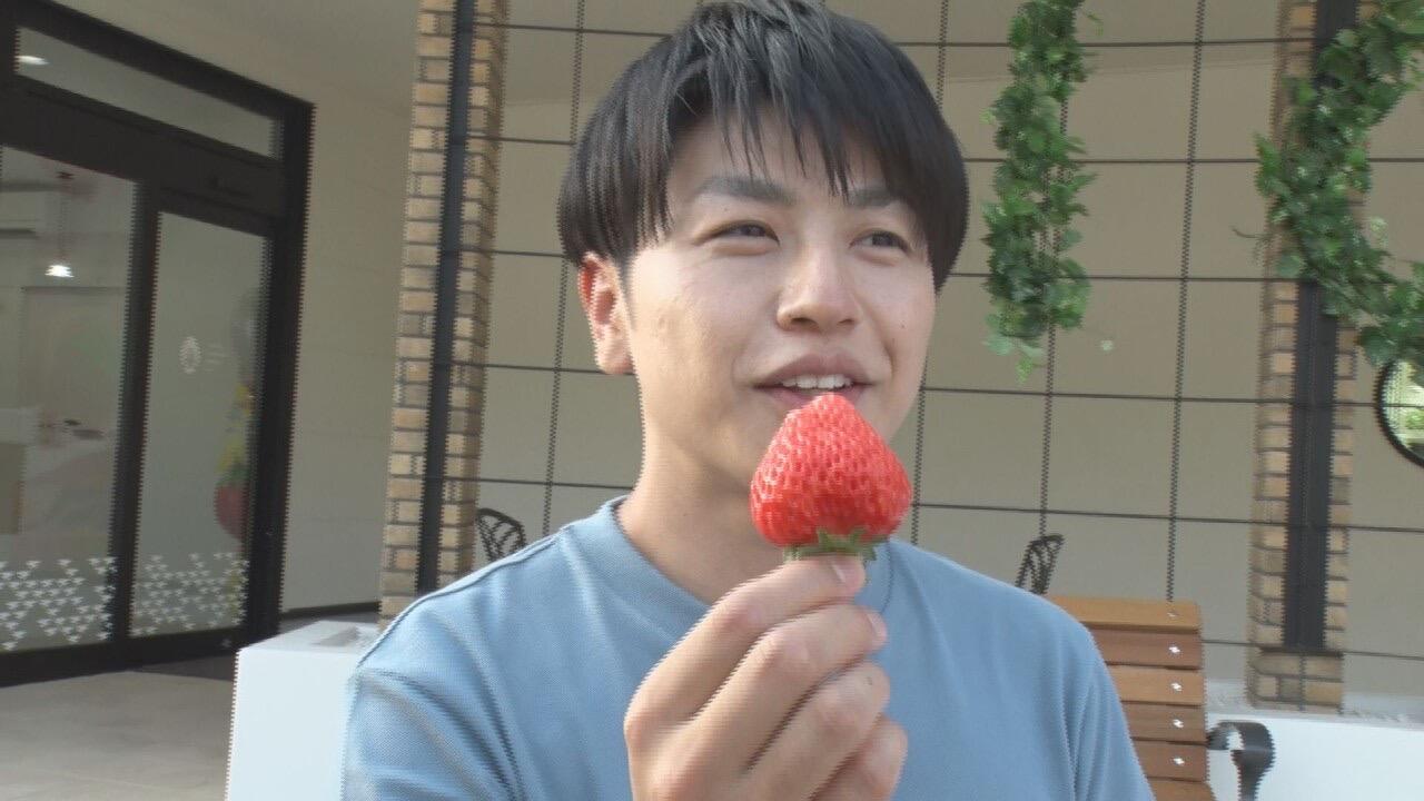 いちごカンパニー_画像2