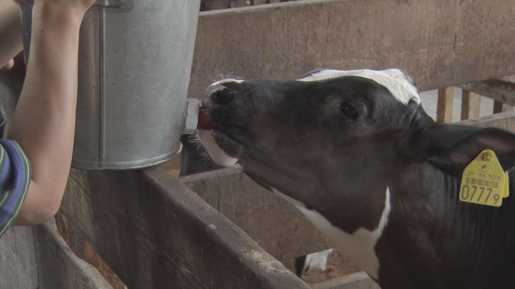 神田酪農＿画像２