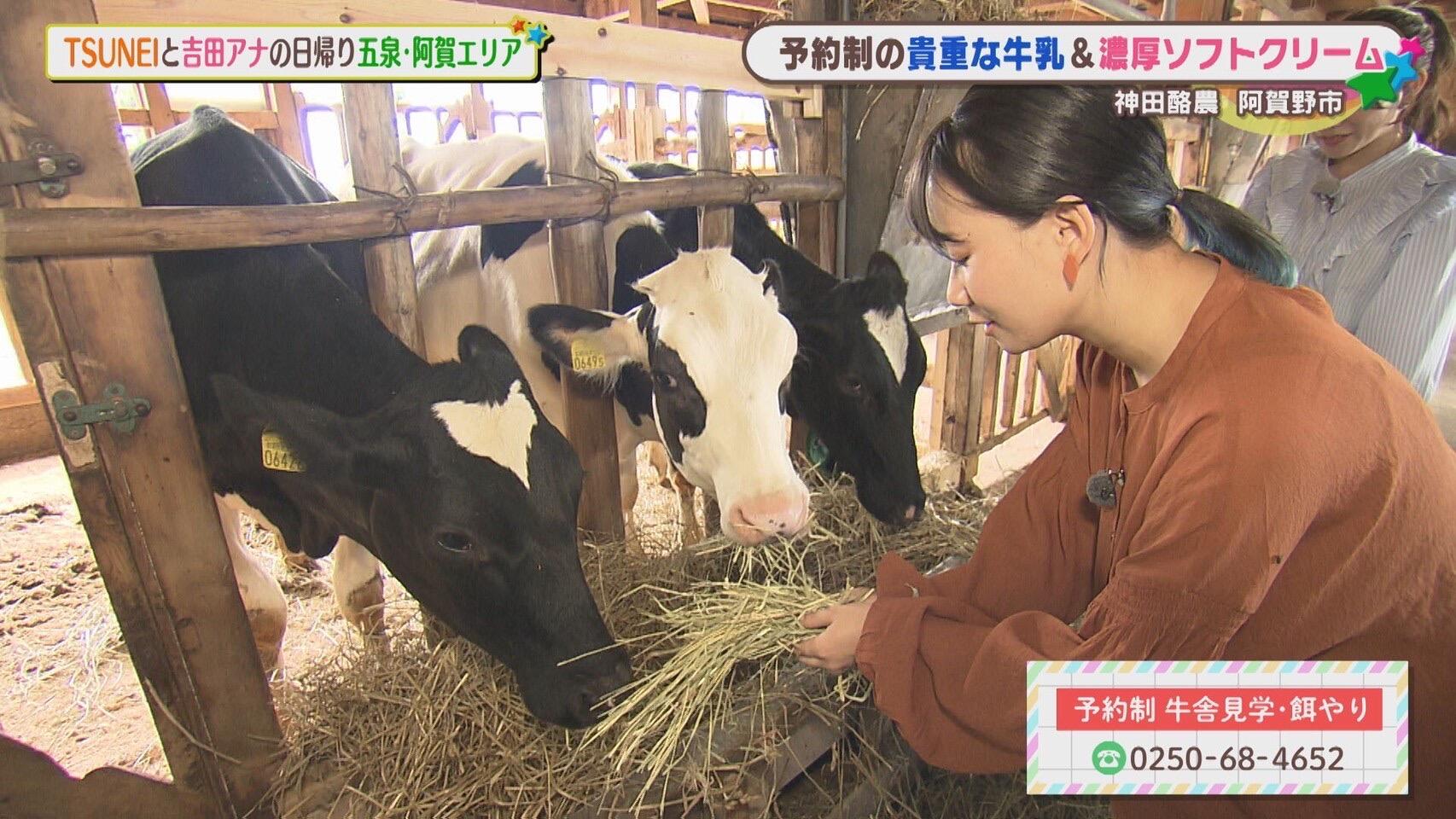 神田酪農＿画像１