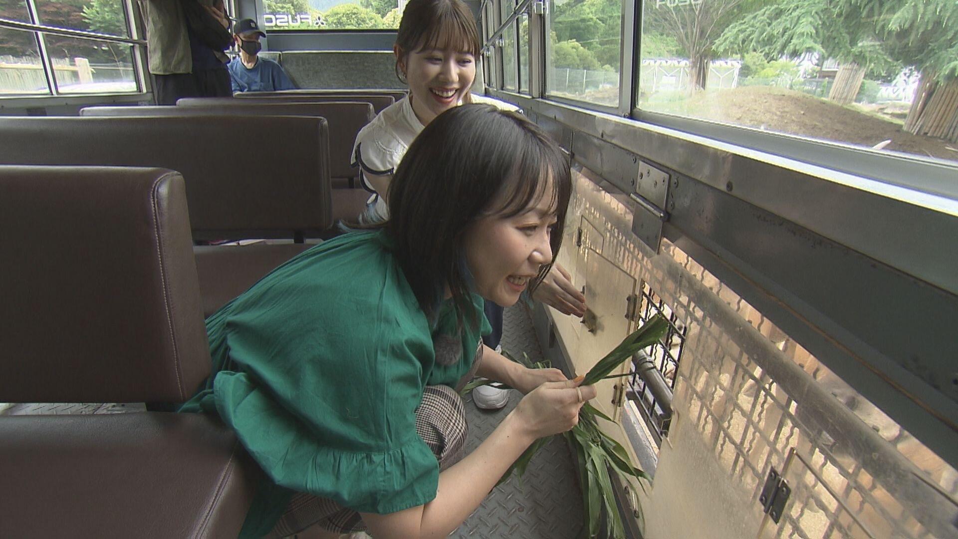 群馬サファリパーク_画像1