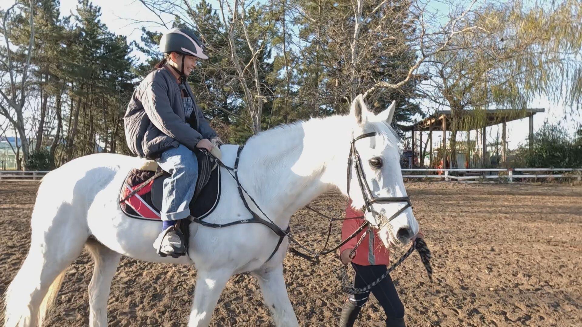 新潟市馬術協会 (新潟乗馬クラブ)＿画像１