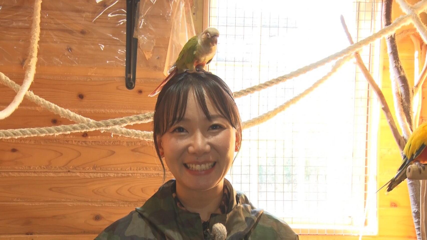 バードカフェとりん家_画像1