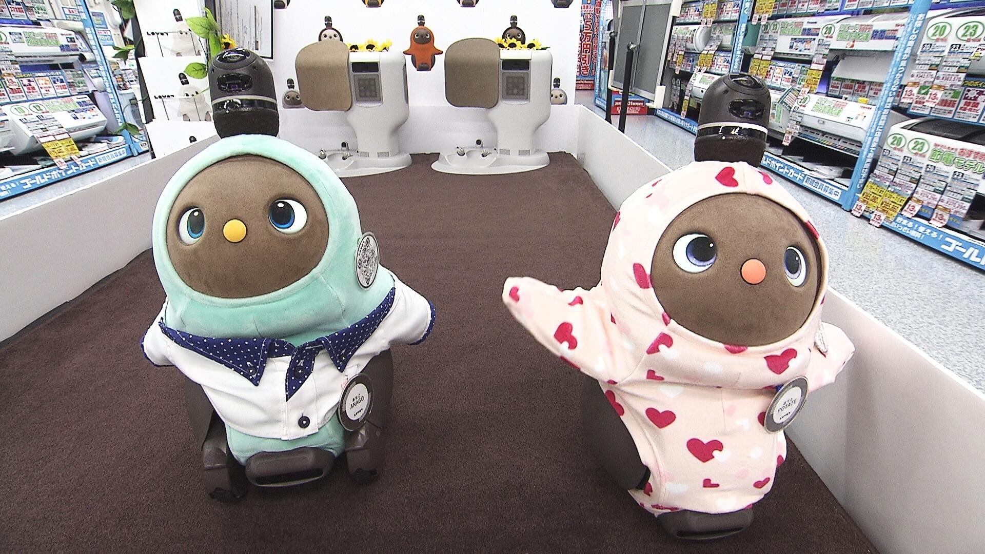 ヨドバシカメラ マルチメディア新潟駅前店_画像2