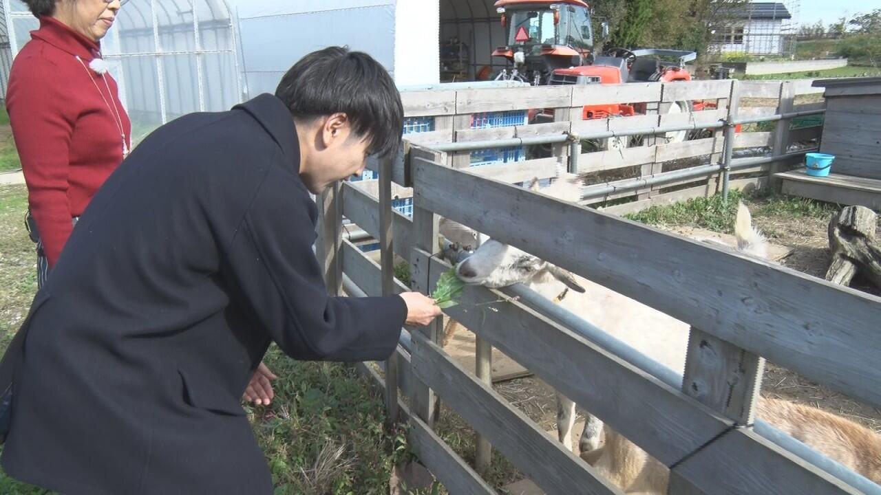 カヌレとチーズの店 Ciel＿画像２