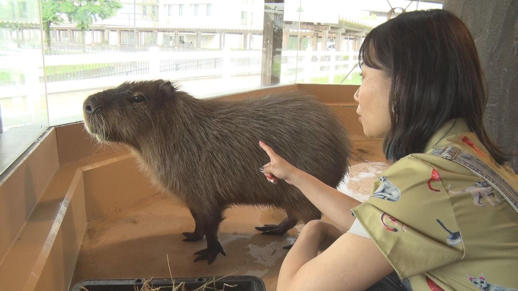 動物ふれあいセンター(いくとぴあ食花)_画像2
