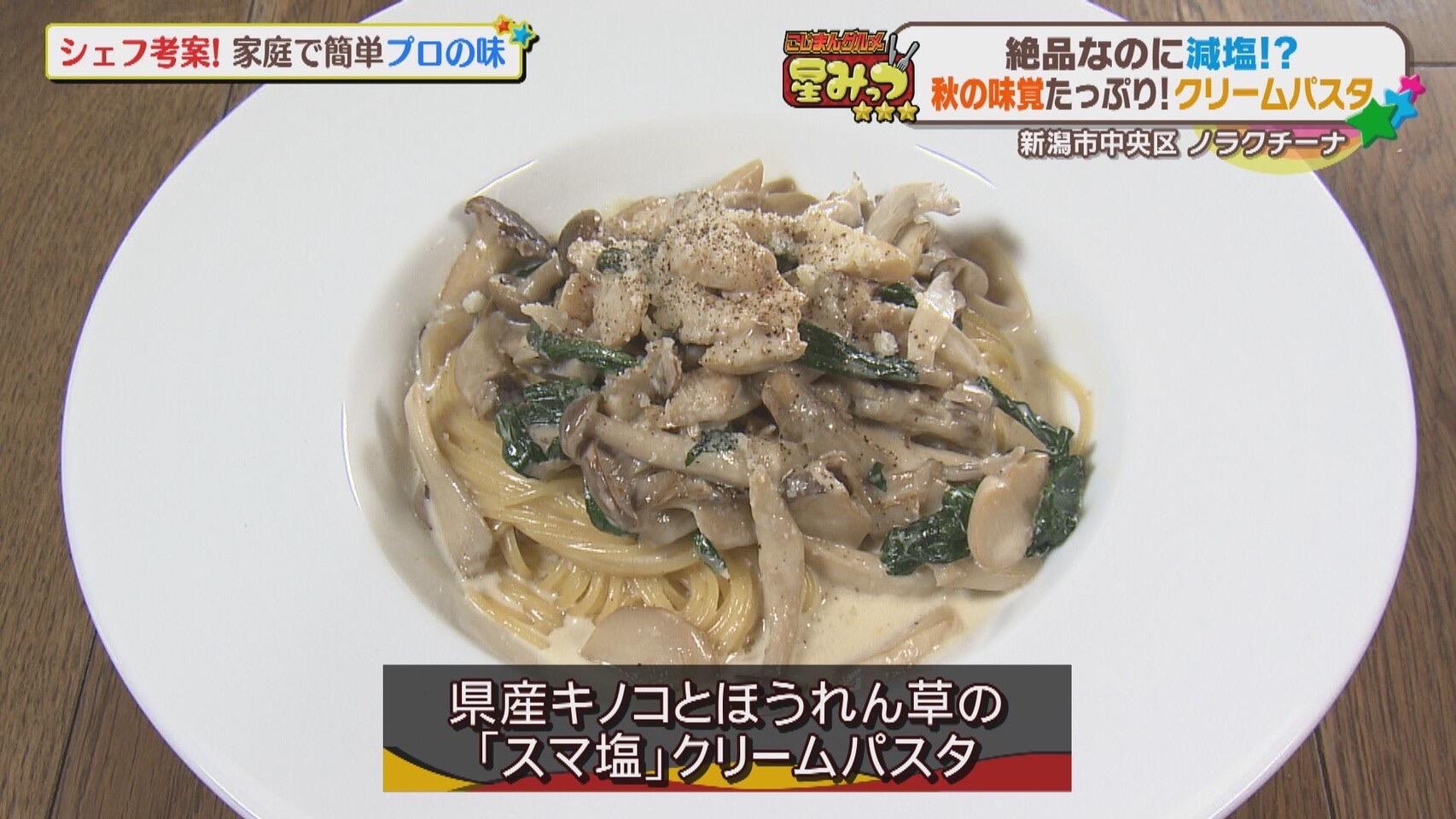 ノラクチーナ 新潟鐙店_画像1