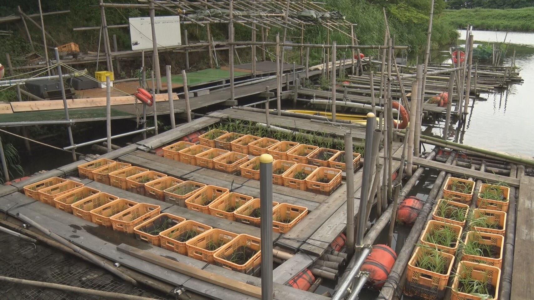 がってん基地_画像2