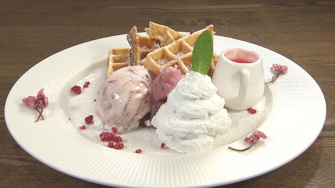 シュシュール_画像2