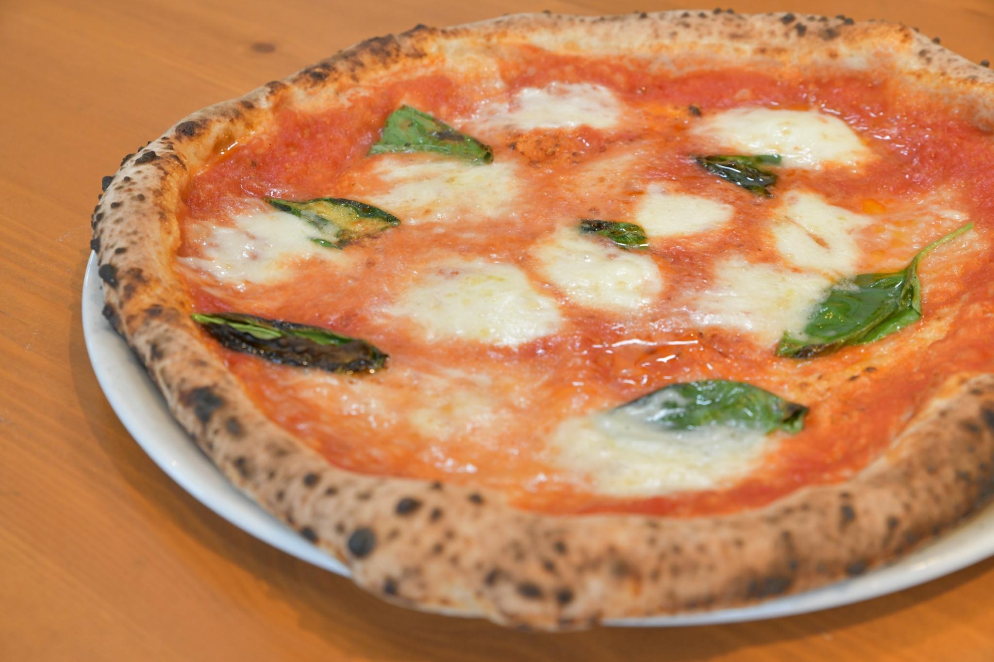 ロルノ＿画像２