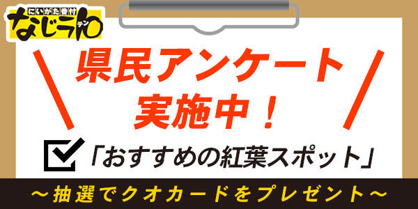 土曜ランチtv なじラテ Bsn新潟放送 テレビ