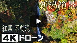 紅葉 不動滝