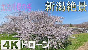 次回の放送