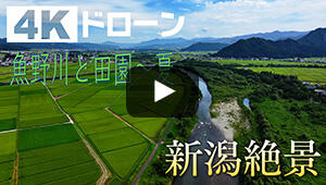 魚野川と田園~夏