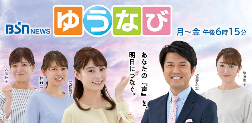 BSN新潟放送｜テレビ