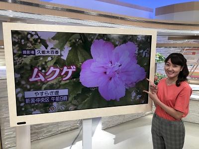 久能木百香 42.jpg