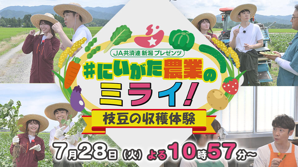  JA共済連新潟プレゼンツ  ＃にいがた農業のミライ！　枝豆の収穫体験