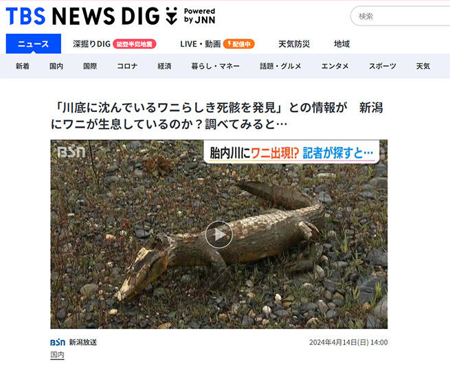 “深掘り”できる記事配信が魅力_イメージ３