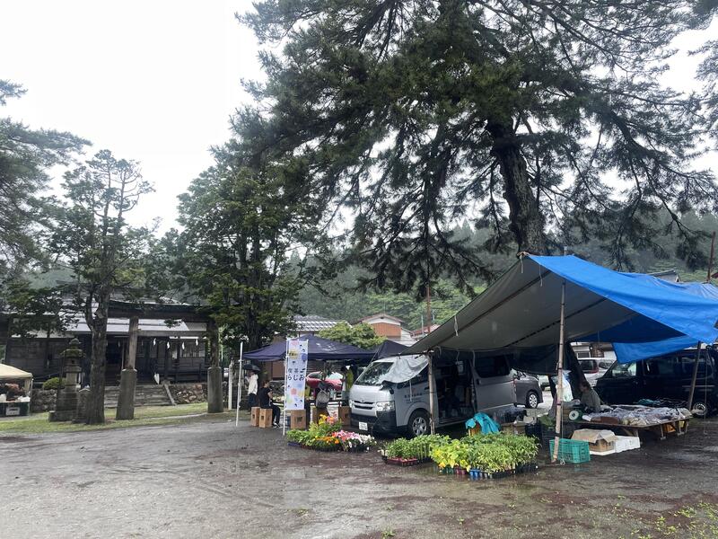 IMG_4180.JPGのサムネイル画像