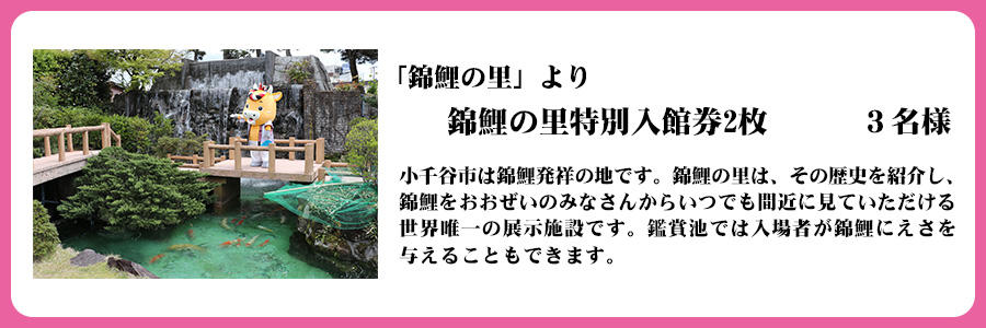 「錦鯉の里」より　錦鯉の里特別入館券2枚　３名様