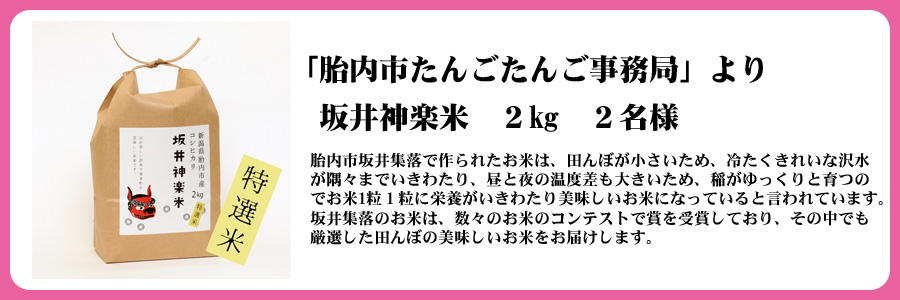 胎内市ぞっこんプレゼント_坂井神楽米 ２kg　２名様