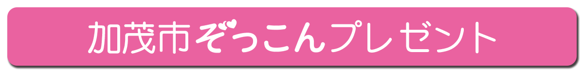 加茂市ぞっこんプレゼント