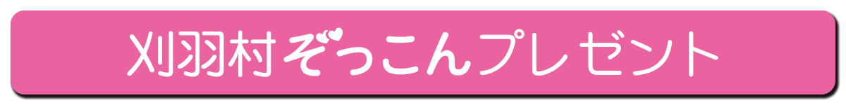 刈羽村ぞっこんプレゼント