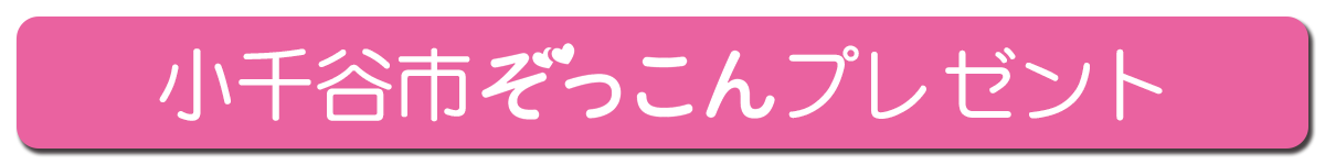 小千谷市ぞっこんプレゼント